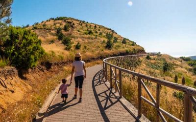 Car Adventures in Madeira: Exploring Hidden Trails and Viewpoints