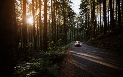 As melhores rotas de carro para explorar na Madeira