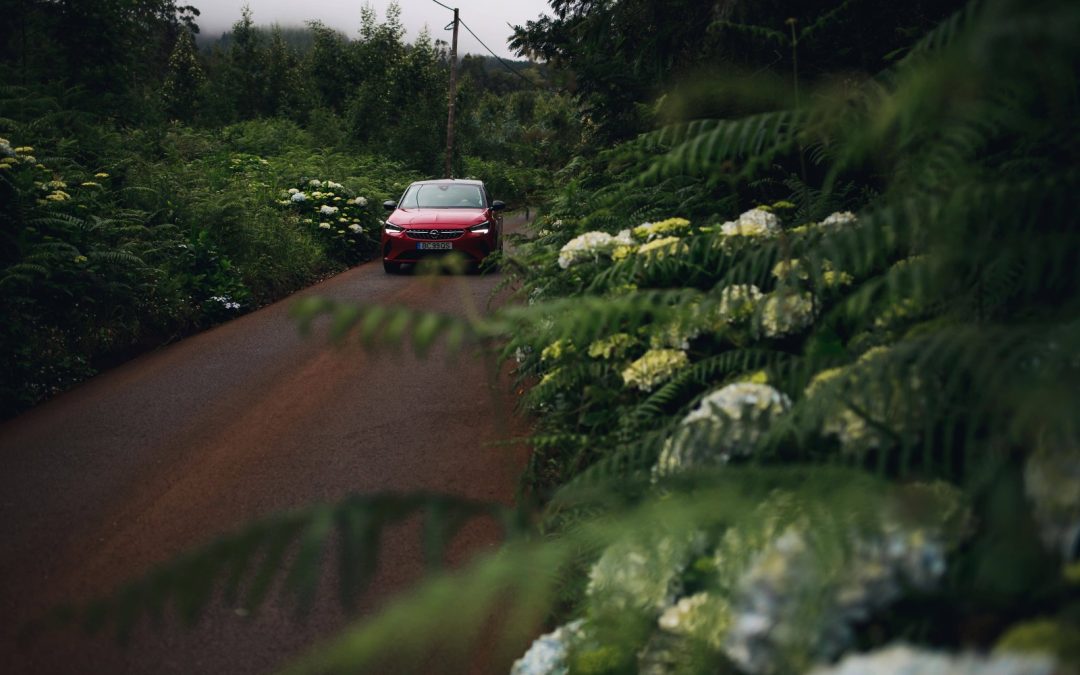 Driving in Madeira at night: magical experience or challenge?